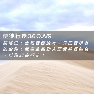 Picture 02 - 使 徒 行 传 3:6 CUVS - 彼 得 说 ： 金 银 我 都 没 有 ， 只 - Bible Verse Picture