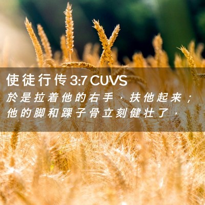 Picture 02 - 使 徒 行 传 3:7 CUVS - 於 是 拉 着 他 的 右 手 ， 扶 他 起 - Bible Verse Picture