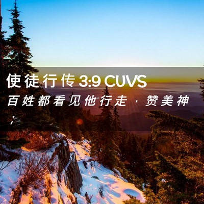 Picture 02 - 使 徒 行 传 3:9 CUVS - 百 姓 都 看 见 他 行 走 ， 赞 美 神 - Bible Verse Picture
