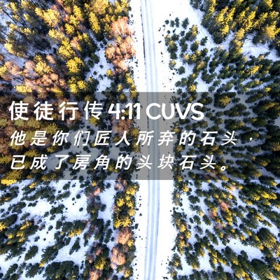 Picture 02 - 使 徒 行 传 4:11 CUVS - 他 是 你 们 匠 人 所 弃 的 石 头 ， - Bible Verse Picture
