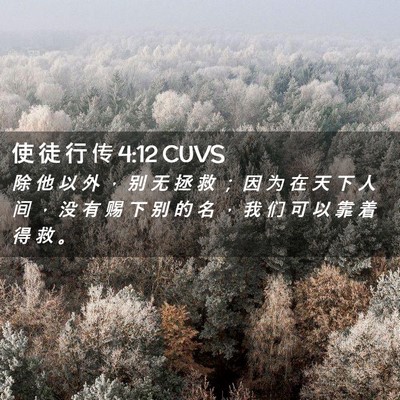Picture 02 - 使 徒 行 传 4:12 CUVS - 除 他 以 外 ， 别 无 拯 救 ； 因 为 - Bible Verse Picture