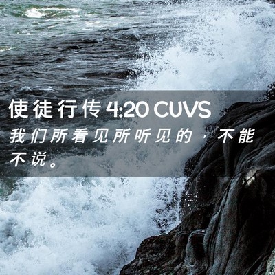 Picture 02 - 使 徒 行 传 4:20 CUVS - 我 们 所 看 见 所 听 见 的 ， 不 能 - Bible Verse Picture