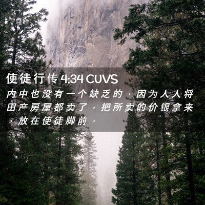 Picture 02 - 使 徒 行 传 4:34 CUVS - 内 中 也 没 有 一 个 缺 乏 的 ， 因 - Bible Verse Picture