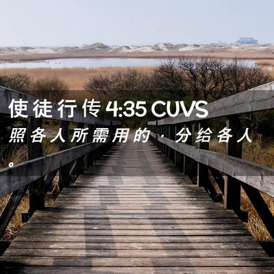 Picture 02 - 使 徒 行 传 4:35 CUVS - 照 各 人 所 需 用 的 ， 分 给 各 人 - Bible Verse Picture
