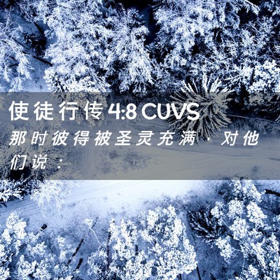 Picture 02 - 使 徒 行 传 4:8 CUVS - 那 时 彼 得 被 圣 灵 充 满 ， 对 他 - Bible Verse Picture
