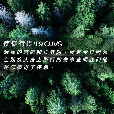 Picture 02 - 使 徒 行 传 4:9 CUVS - 治 民 的 官 府 和 长 老 阿 ， 倘 若 - Bible Verse Picture