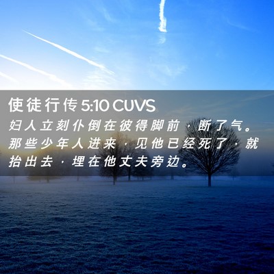 Picture 02 - 使 徒 行 传 5:10 CUVS - 妇 人 立 刻 仆 倒 在 彼 得 脚 前 ， - Bible Verse Picture