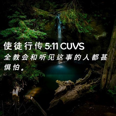 Picture 02 - 使 徒 行 传 5:11 CUVS - 全 教 会 和 听 见 这 事 的 人 都 甚 - Bible Verse Picture