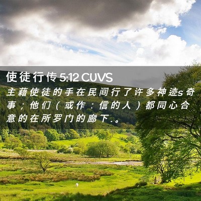 Picture 02 - 使 徒 行 传 5:12 CUVS - 主 藉 使 徒 的 手 在 民 间 行 了 许 - Bible Verse Picture