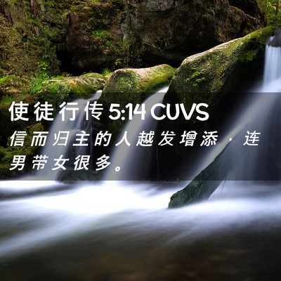 Picture 02 - 使 徒 行 传 5:14 CUVS - 信 而 归 主 的 人 越 发 增 添 ， 连 - Bible Verse Picture