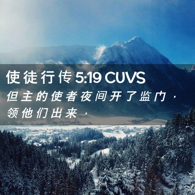 Picture 02 - 使 徒 行 传 5:19 CUVS - 但 主 的 使 者 夜 间 开 了 监 门 ， - Bible Verse Picture