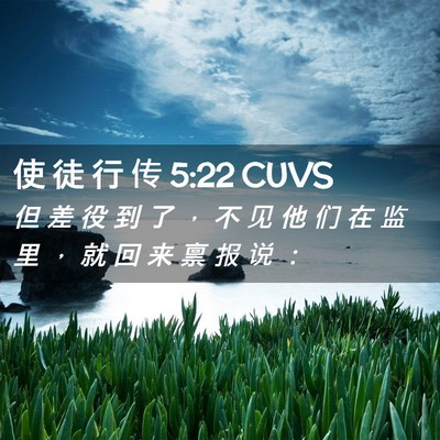 Picture 02 - 使 徒 行 传 5:22 CUVS - 但 差 役 到 了 ， 不 见 他 们 在 监 - Bible Verse Picture