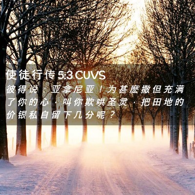 Picture 02 - 使 徒 行 传 5:3 CUVS - 彼 得 说 ： 亚 拿 尼 亚 ！ 为 甚 麽 - Bible Verse Picture
