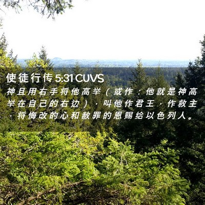 Picture 02 - 使 徒 行 传 5:31 CUVS - 神 且 用 右 手 将 他 高 举 （ 或 作 - Bible Verse Picture