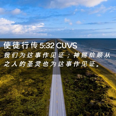 Picture 02 - 使 徒 行 传 5:32 CUVS - 我 们 为 这 事 作 见 证 ； 神 赐 给 - Bible Verse Picture