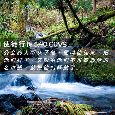 Picture 02 - 使 徒 行 传 5:40 CUVS - 公 会 的 人 听 从 了 他 ， 便 叫 使 - Bible Verse Picture