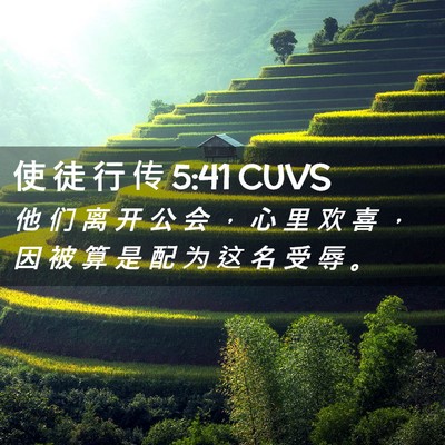 Picture 02 - 使 徒 行 传 5:41 CUVS - 他 们 离 开 公 会 ， 心 里 欢 喜 ， - Bible Verse Picture
