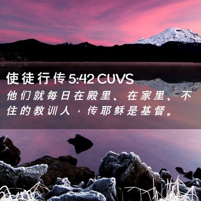 Picture 02 - 使 徒 行 传 5:42 CUVS - 他 们 就 每 日 在 殿 里 、 在 家 里 - Bible Verse Picture