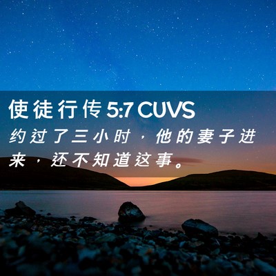 Picture 02 - 使 徒 行 传 5:7 CUVS - 约 过 了 三 小 时 ， 他 的 妻 子 进 - Bible Verse Picture