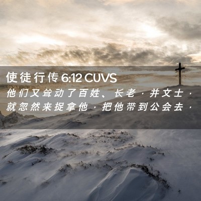 Picture 02 - 使 徒 行 传 6:12 CUVS - 他 们 又 耸 动 了 百 姓 、 长 老 ， - Bible Verse Picture
