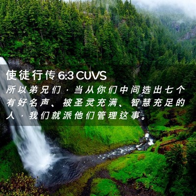 Picture 02 - 使 徒 行 传 6:3 CUVS - 所 以 弟 兄 们 ， 当 从 你 们 中 间 - Bible Verse Picture