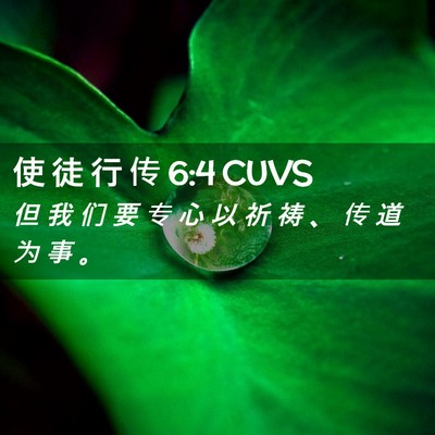 Picture 02 - 使 徒 行 传 6:4 CUVS - 但 我 们 要 专 心 以 祈 祷 、 传 道 - Bible Verse Picture