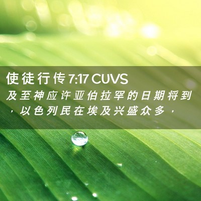 Picture 02 - 使 徒 行 传 7:17 CUVS - 及 至 神 应 许 亚 伯 拉 罕 的 日 期 - Bible Verse Picture