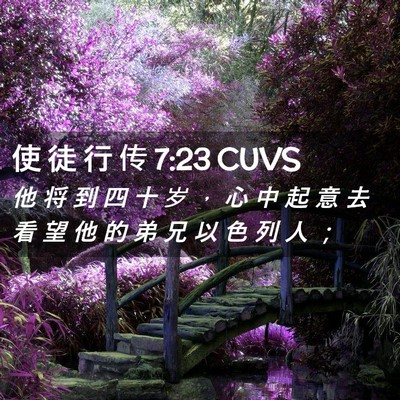 Picture 02 - 使 徒 行 传 7:23 CUVS - 他 将 到 四 十 岁 ， 心 中 起 意 去 - Bible Verse Picture