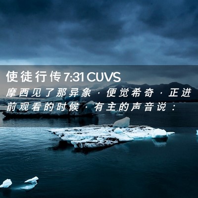 Picture 02 - 使 徒 行 传 7:31 CUVS - 摩 西 见 了 那 异 象 ， 便 觉 希 奇 - Bible Verse Picture