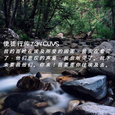 Picture 02 - 使 徒 行 传 7:34 CUVS - 我 的 百 姓 在 埃 及 所 受 的 困 苦 - Bible Verse Picture