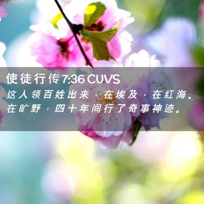 Picture 02 - 使 徒 行 传 7:36 CUVS - 这 人 领 百 姓 出 来 ， 在 埃 及 ， - Bible Verse Picture