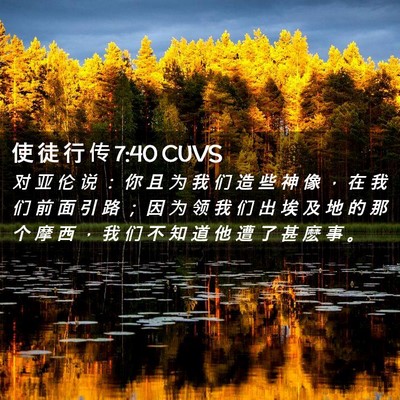 Picture 02 - 使 徒 行 传 7:40 CUVS - 对 亚 伦 说 ： 你 且 为 我 们 造 些 - Bible Verse Picture