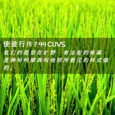 Picture 02 - 使 徒 行 传 7:44 CUVS - 我 们 的 祖 宗 在 旷 野 ， 有 法 柜 - Bible Verse Picture