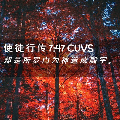 Picture 02 - 使 徒 行 传 7:47 CUVS - 却 是 所 罗 门 为 神 造 成 殿 宇 - Bible Verse Picture