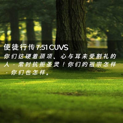 Picture 02 - 使 徒 行 传 7:51 CUVS - 你 们 这 硬 着 颈 项 、 心 与 耳 未 - Bible Verse Picture