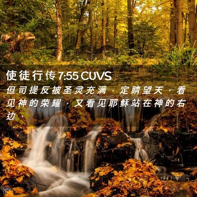 Picture 02 - 使 徒 行 传 7:55 CUVS - 但 司 提 反 被 圣 灵 充 满 ， 定 睛 - Bible Verse Picture