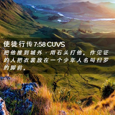 Picture 02 - 使 徒 行 传 7:58 CUVS - 把 他 推 到 城 外 ， 用 石 头 打 他 - Bible Verse Picture