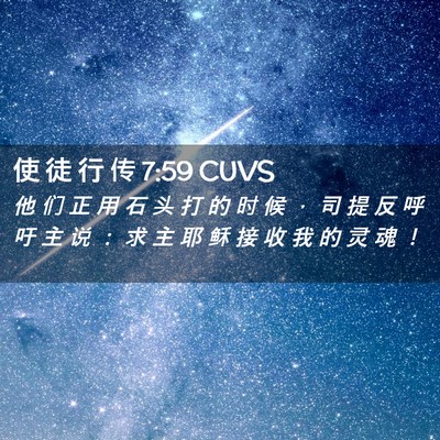 Picture 02 - 使 徒 行 传 7:59 CUVS - 他 们 正 用 石 头 打 的 时 候 ， 司 - Bible Verse Picture