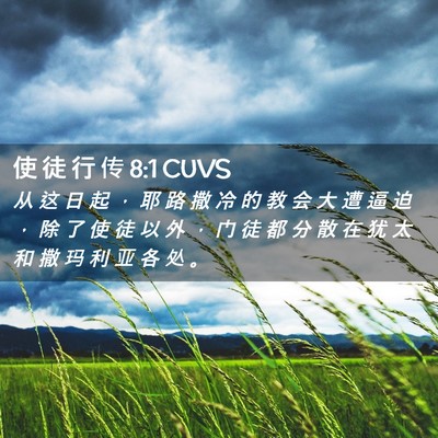 Picture 02 - 使 徒 行 传 8:1 CUVS - 从 这 日 起 ， 耶 路 撒 冷 的 教 会 - Bible Verse Picture