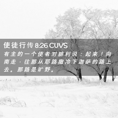 Picture 02 - 使 徒 行 传 8:26 CUVS - 有 主 的 一 个 使 者 对 腓 利 说 ： - Bible Verse Picture