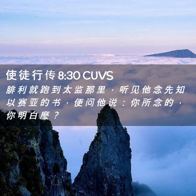 Picture 02 - 使 徒 行 传 8:30 CUVS - 腓 利 就 跑 到 太 监 那 里 ， 听 见 - Bible Verse Picture