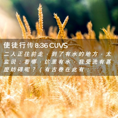 Picture 02 - 使 徒 行 传 8:36 CUVS - 二 人 正 往 前 走 ， 到 了 有 水 的 - Bible Verse Picture