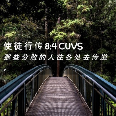 Picture 02 - 使 徒 行 传 8:4 CUVS - 那 些 分 散 的 人 往 各 处 去 传 道 - Bible Verse Picture