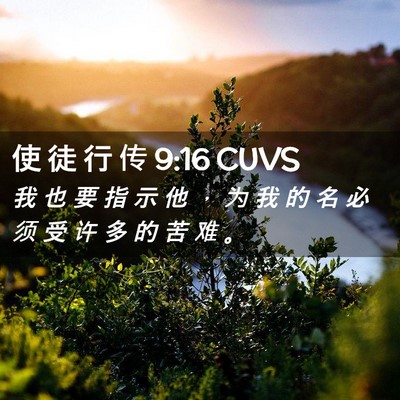 Picture 02 - 使 徒 行 传 9:16 CUVS - 我 也 要 指 示 他 ， 为 我 的 名 必 - Bible Verse Picture