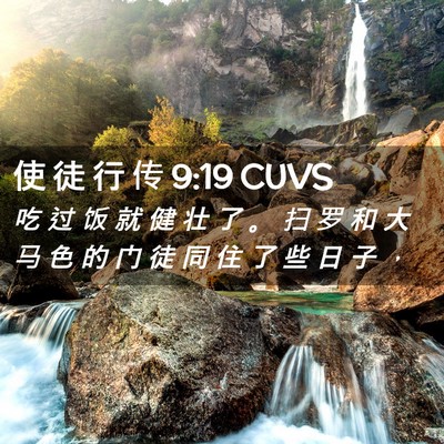 Picture 02 - 使 徒 行 传 9:19 CUVS - 吃 过 饭 就 健 壮 了 。 扫 罗 和 大 - Bible Verse Picture