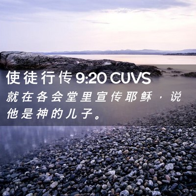 Picture 02 - 使 徒 行 传 9:20 CUVS - 就 在 各 会 堂 里 宣 传 耶 稣 ， 说 - Bible Verse Picture