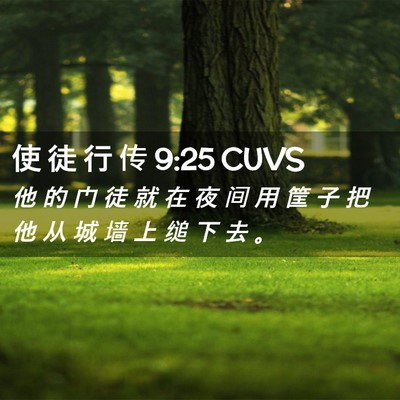 Picture 02 - 使 徒 行 传 9:25 CUVS - 他 的 门 徒 就 在 夜 间 用 筐 子 把 - Bible Verse Picture
