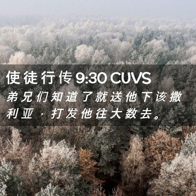 Picture 02 - 使 徒 行 传 9:30 CUVS - 弟 兄 们 知 道 了 就 送 他 下 该 撒 - Bible Verse Picture