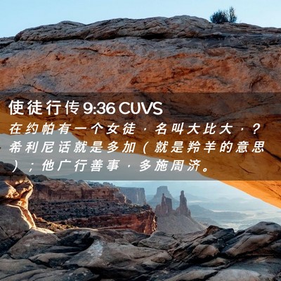 Picture 02 - 使 徒 行 传 9:36 CUVS - 在 约 帕 有 一 个 女 徒 ， 名 叫 大 - Bible Verse Picture