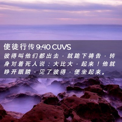 Picture 02 - 使 徒 行 传 9:40 CUVS - 彼 得 叫 他 们 都 出 去 ， 就 跪 下 - Bible Verse Picture